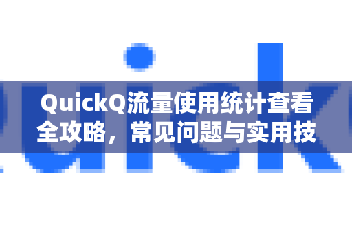 QuickQ流量使用统计查看全攻略，常见问题与实用技巧
