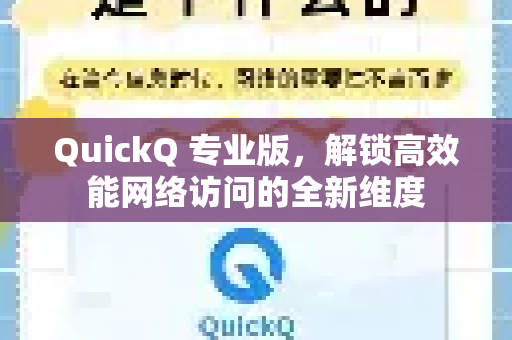 QuickQ 专业版，解锁高效能网络访问的全新维度